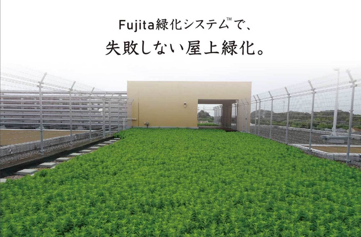 失敗しない屋上緑化