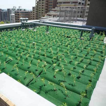 雨水の浸透促進をする常緑キリン草袋方式