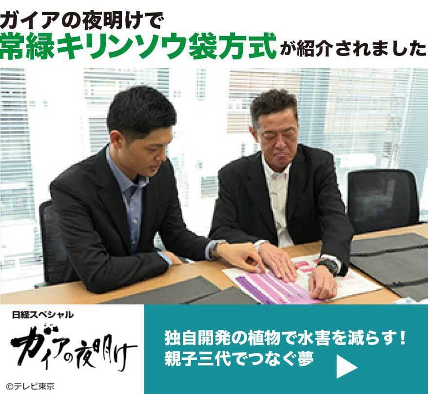 ガイアの夜明けで常緑キリン草袋方式が紹介されました。